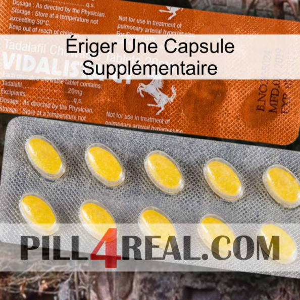 Ériger Une Capsule Supplémentaire 42